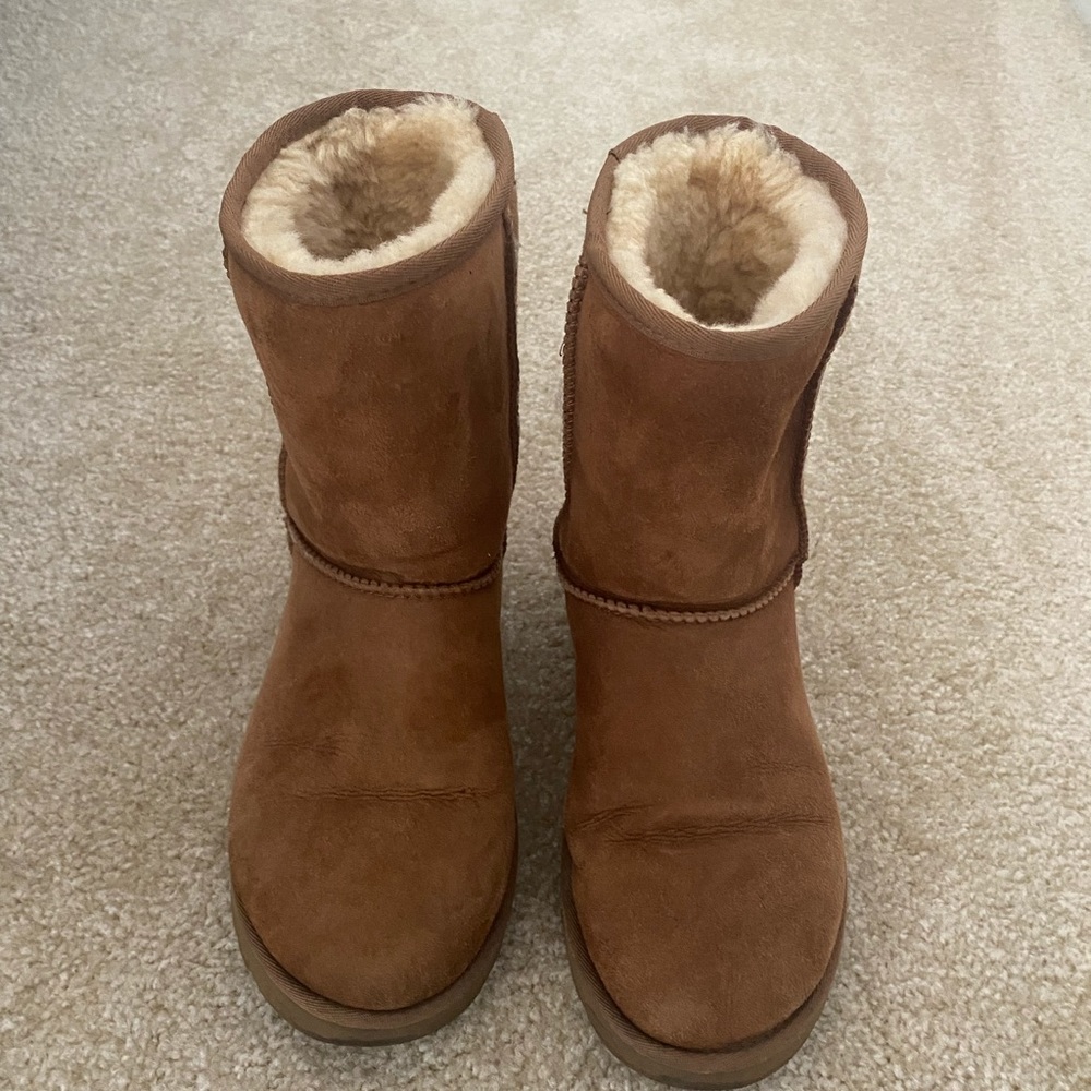 UGG classic short in chestnut